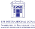 Brs International